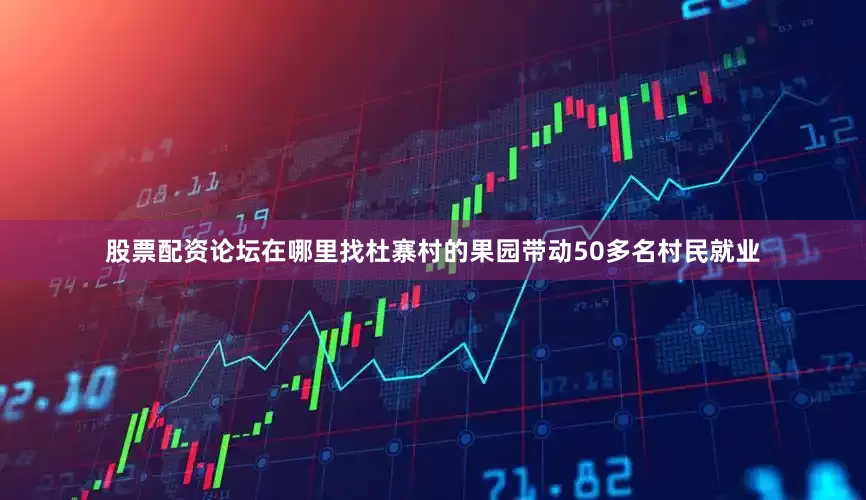 股票配资论坛在哪里找杜寨村的果园带动50多名村民就业